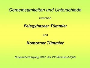 Gemeinsamkeiten und Unterschiede zwischen Felegyhazaer Tmmler und Komorner