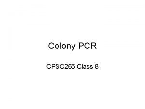 Colony PCR CPSC 265 Class 8 Cloning Cloning