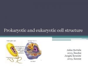 Prokaryotic and eukaryotic cell structure Aidas Bertulis 2013