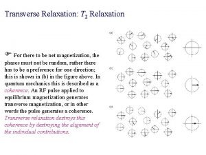 Transverse Relaxation T 2 Relaxation For there to