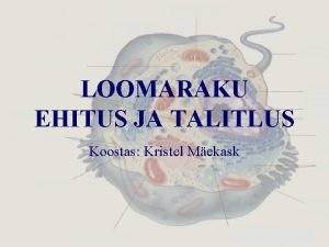 LOOMARAKU EHITUS JA TALITLUS Koostas Kristel Mekask Rakumembraan