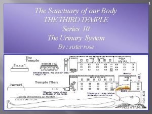 1 The Sanctuary of our Body THE THIRD