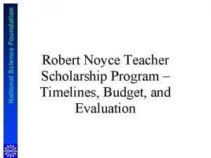 Nsf robert noyce program