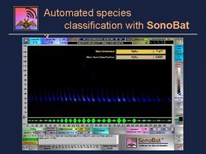 Automated species classification with Sono Bat 3 Sono