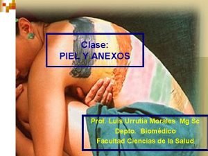 Clase PIEL Y ANEXOS Prof Luis Urrutia Morales