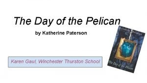 The day of the pelican chapter summaries