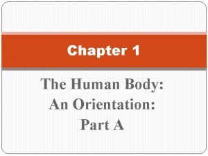 Chapter 1 the human body an orientation