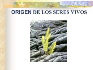 ORIGEN DE LOS SERES VIVOS SUMARIO 1 2