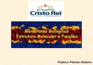 Membranas Biolgicas Estrutura Molecular e Funes Professor Wincius