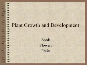 Plant Growth and Development Seeds Flowers Fruits Seeds