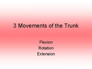 3 Movements of the Trunk Flexion Rotation Extension
