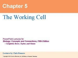 Chapter 5 The Working Cell Power Point Lectures