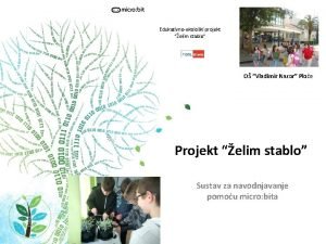 Edukativnoekoloki projekt elim stablo O Vladimir Nazor Ploe