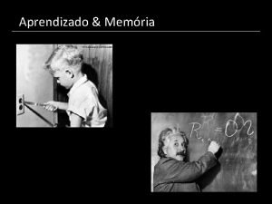 Aprendizado Memria Por que esta aula importante para