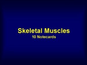 Skeletal Muscles 10 Notecards Head and Neck Muscles