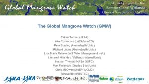 Global mangrove watch