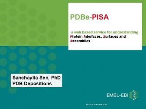 Pisa protein interface