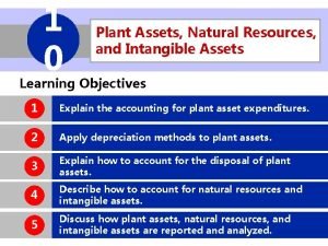 Plant assets, natural resources, and intangible assets