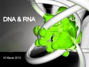 DNA RNA 16 Maret 2015 Struktur Asam Nukleat