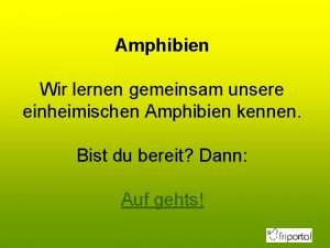 Amphibien Wir lernen gemeinsam unsere einheimischen Amphibien kennen