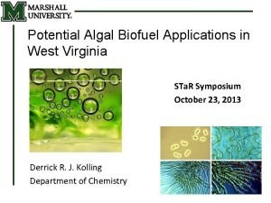 Potential Algal Biofuel Applications in West Virginia STa