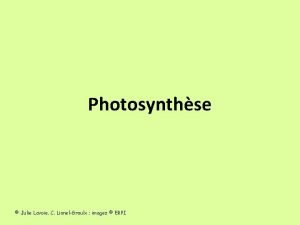 Photosynthse