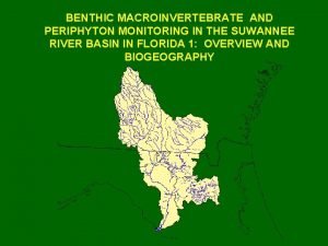 BENTHIC MACROINVERTEBRATE AND PERIPHYTON MONITORING IN THE SUWANNEE