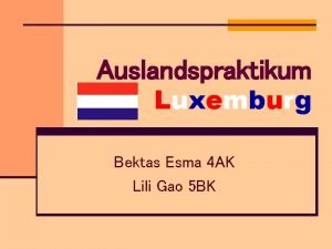 Auslandspraktikum Luxemburg Bektas Esma 4 AK Lili Gao