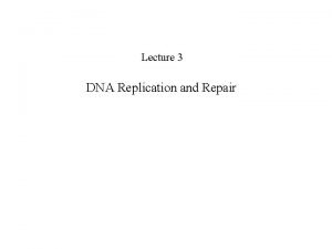 Lecture 3 DNA Replication and Repair DNA Replication