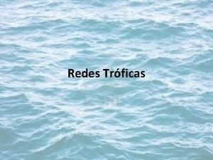 Redes Trficas REDES TRFICAS Caracterstica de las Redes Redes Trficas REDES TRFICAS Caracterstica de las Redes