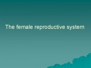 The female reproductive system FUNCTIONS To produce the