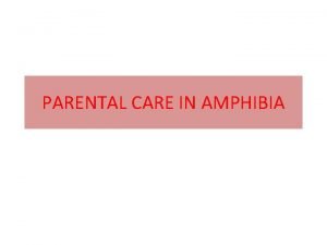 Parental care in amphibians