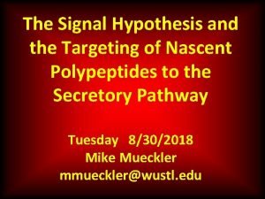 The Signal Hypothesis and the Targeting of Nascent