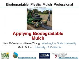 Biodegradable Plastic Mulch Professional Training Applying Biodegradable Mulch