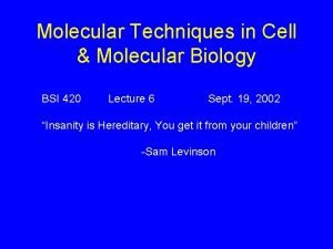 Molecular Techniques in Cell Molecular Biology BSI 420