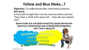 Genetics yellow and blue make