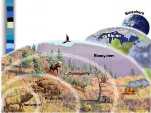 Abiotic Nutrient Cycles n Abiotic Nonliving components essential