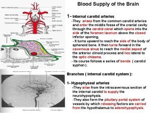 Internal carotid artery supply