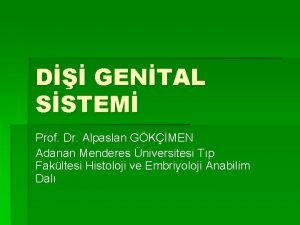 D GENTAL SSTEM Prof Dr Alpaslan GKMEN Adanan
