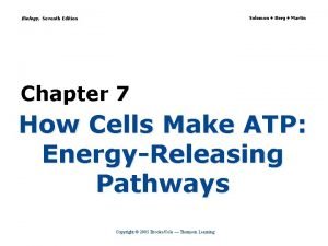 Biology Seventh Edition Solomon Berg Martin Chapter 7