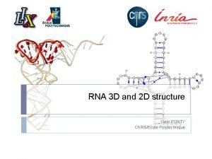 RNA 3 D and 2 D structure Yann