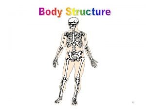 Quadrants of the body