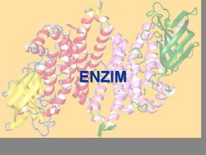ENZIM Enzim merupakan senyawa organik bermolekul besar yang
