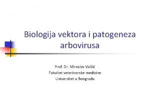 Biologija vektora i patogeneza arbovirusa Prof Dr Miroslav