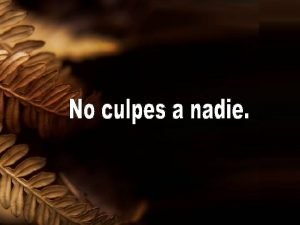 Nunca culpes a nadie