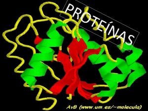 PRO TE NA S Las proteinas son biopolmeros