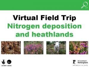 Amy Rogers Carl Corbidge Virtual Field Trip Nitrogen