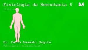 Fisiologia da Hemostasia 6 Fisiologia Dr Denis Masashi