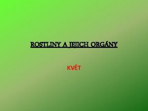 ROSTLINY A JEJICH ORGNY KVT Vukov materil zpracovan