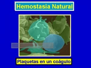 Hemostasia natural